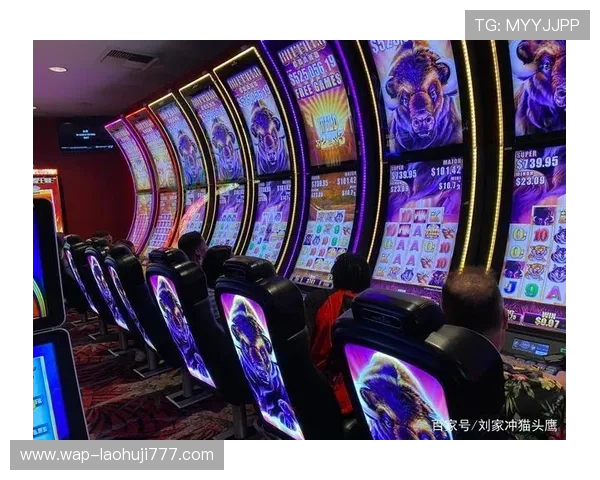 老虎机专卖店:提供多样化的高品质老虎机设备选择方案